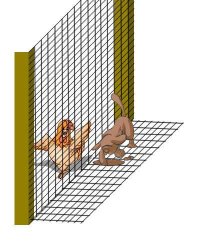 http://pics.fuzzywolf.com/chickenwire.jpg